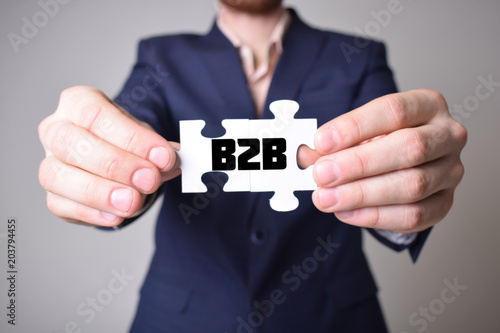 Businessman holding a puzzle with the inscription:B2B