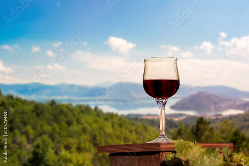  glass of red wine in a vineyard on the Kastoria town background. Greece