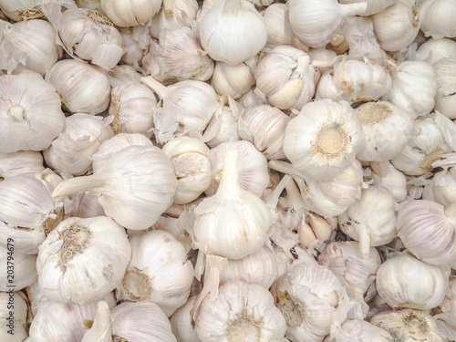 Bulk of garlic texture background