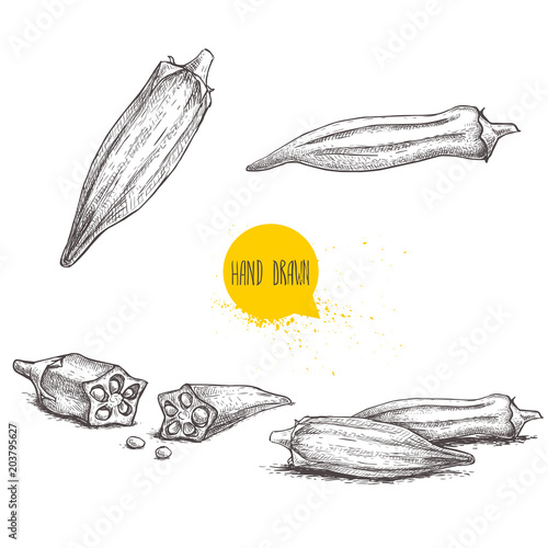 Hand drawn sketch style exotic vegetables okra set. Vector illustrations collection of eco healthy food. Whole and cut composition isolated on white background.
