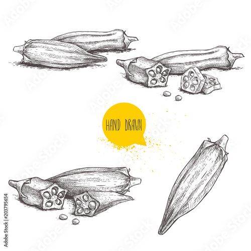 Hand drawn sketch style exotic vegetables okra set. Vector illustrations collection of eco healthy food. Whole and cut composition isolated on white background.
