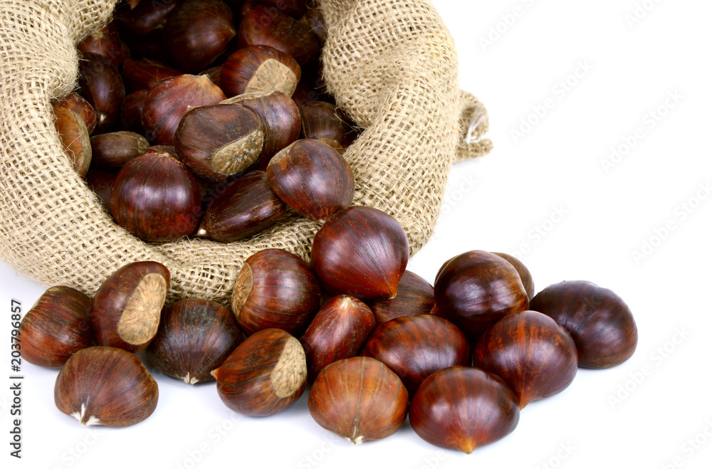 Castanea sativa or sweet chestnut in sack bag on white background. Castanea sativa or sweet chestnut in sack bag on white background.