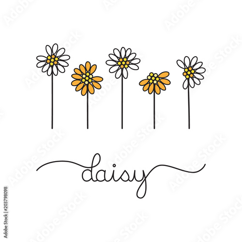 White and orange daisy flowers, vector graphic illustration. Hand drawn daisies with writing daisy.  photo