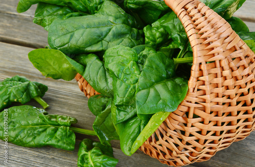 Benefits of Spinach leaves in basket on wooden floor. photo