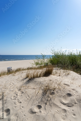 Fototapeta Naklejka Na Ścianę i Meble -  Grassy sand dunes on the Baltic Sea