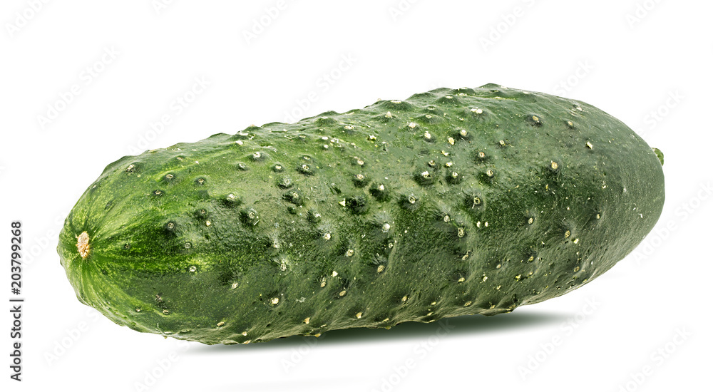 Fresh cucumber isolated on white background with clipping path Fresh cucumber isolated on white background with clipping path