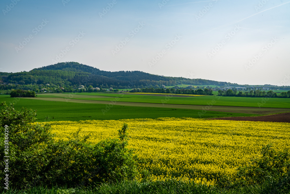 Grass Field in Germany