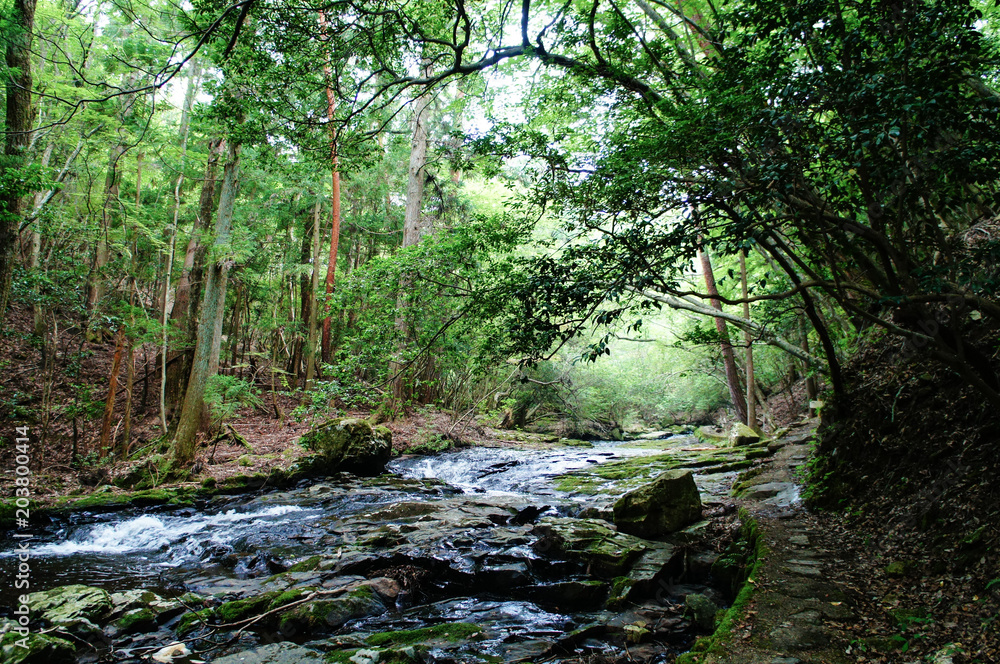 Obraz premium 京都府丹南のるり渓