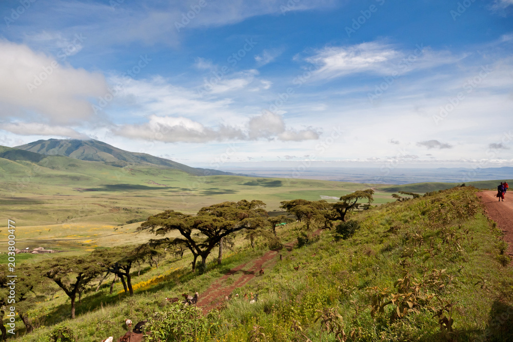 View from Ngorongoro road to the Serengeti - Tanzania - obrazy, fototapety, plakaty 