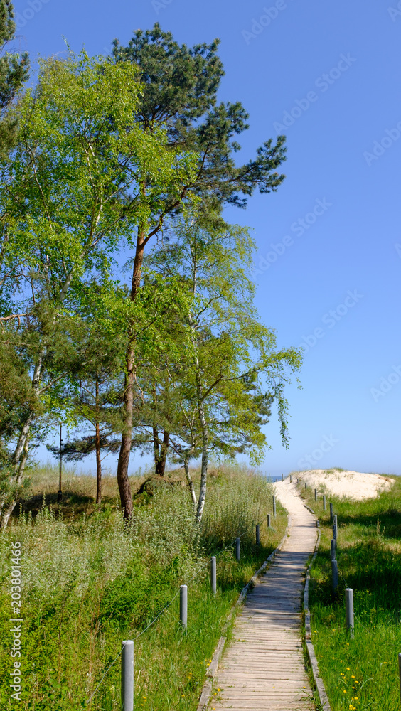 path leading to the sea / nature landscape path leading to the sea / nature landscape