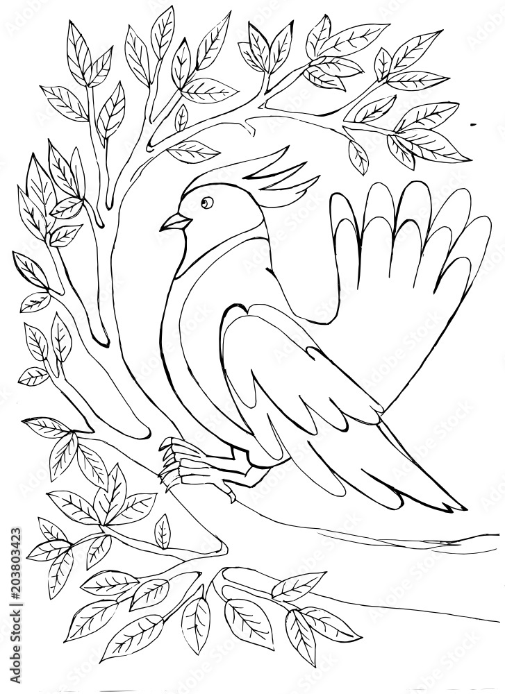 13,068 Pigeon Sketch Images, Stock Photos & Vectors | Shutterstock