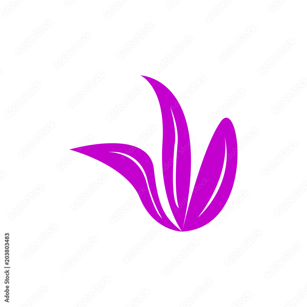 Isolated leaves icon Isolated leaves icon