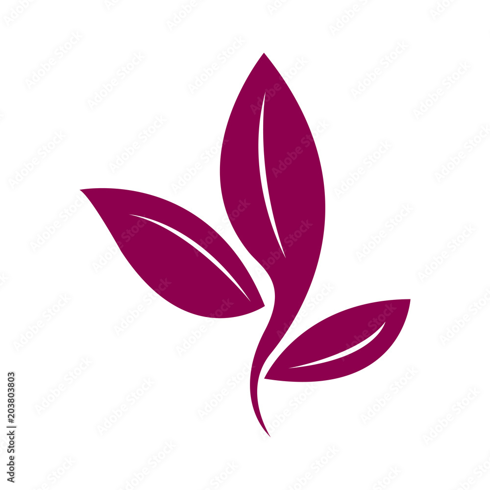 Obraz premium Isolated leaves icon