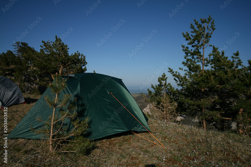 Tent in the mountains among pine trees