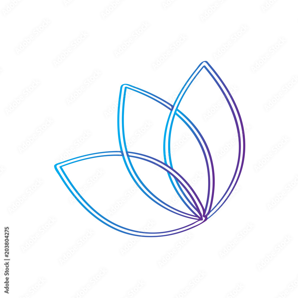 Outline of a lotus flower Outline of a lotus flower