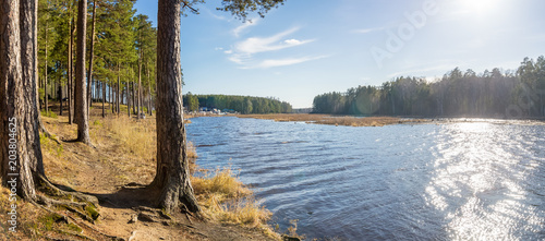летний пейзаж на берегу реки с сосновым лесом, Россия, Урал 