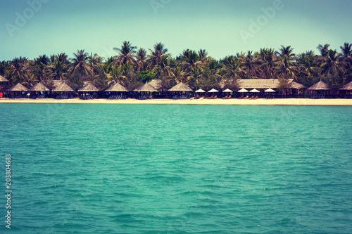 sea beach with palm trees