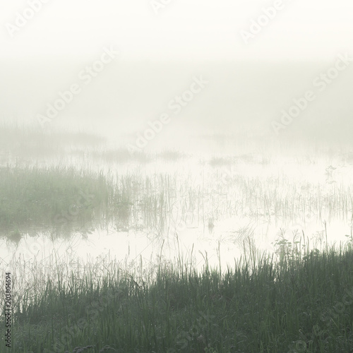 Morning Mist Swamp.