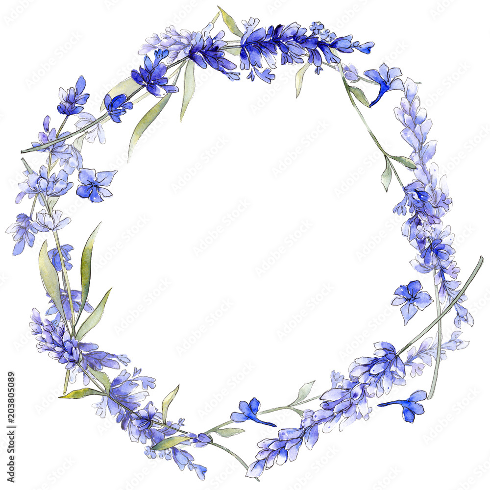 Violet lavender. Floral botanical flower. Wild spring leaf wildflower isolated. Aquarelle wildflower for background, texture, wrapper pattern, frame or border. Violet lavender. Floral botanical flower. Wild spring leaf wildflower isolated. Aquarelle wildflower for background, texture, wrapper pattern, frame or border.
