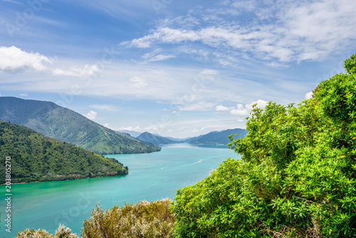 Obraz na płótnie Queen Charlotte Sounds, Pelorus, Marlborough, New Zealand: Amazing lake view countryside charming landscape on south island with blue water bay and green grass mountain range between Picton and Nelson w salonie