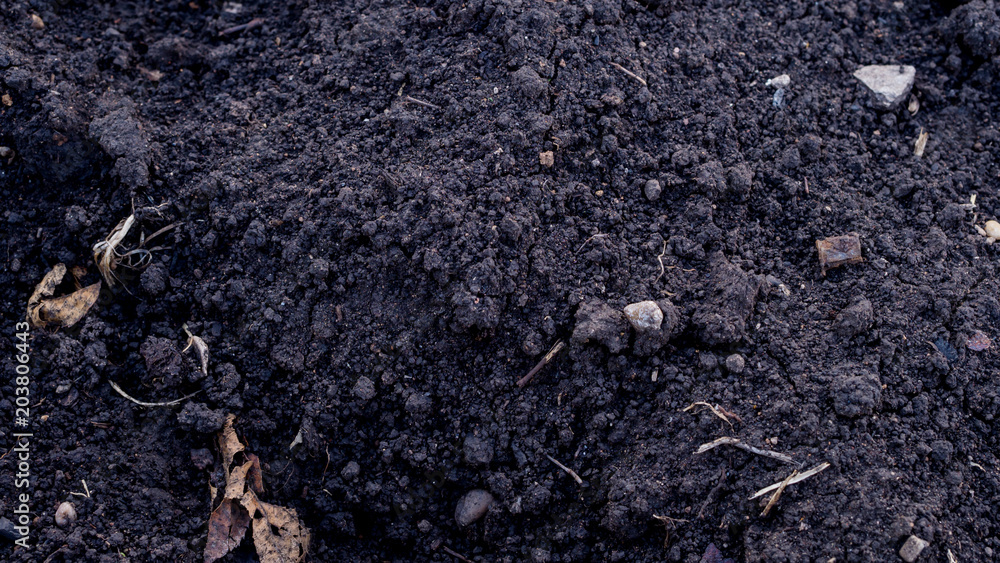 Black land with garbage and stones for sowing Black land with garbage and stones for sowing