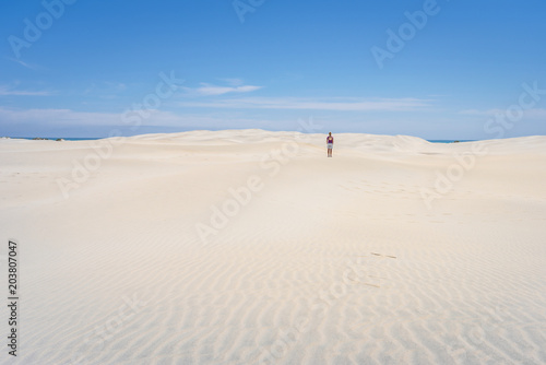 Farewell Spit  Golden Bay  New Zealand  Impressive sand dune landscape at the north west cape of south island with white sandy beaches and green grass and blue ocean sea near Abel Tasman National Park