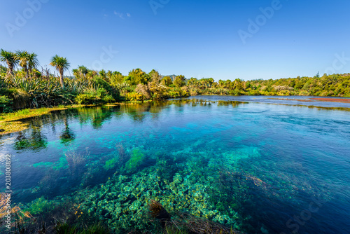 Te Waikoropupu Springs, Pupu Springs, Golden Bay, New Zealand: crystal clear water flows from subterranean underground spring wells to this central overflow blue lake with beautiful green landscape
