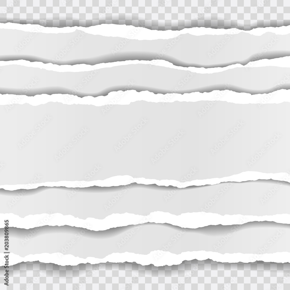 torn paper edges, seamless horizontally texture, vector isolated in space for advertising, banner of web page, border and header, print concept of illustration torn paper edges, seamless horizontally texture, vector isolated in space for advertising, banner of web page, border and header, print concept of illustration