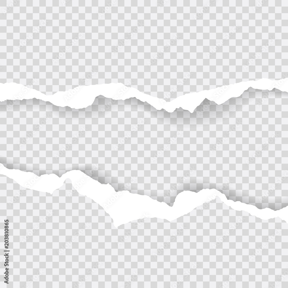 torn paper edges, Background seamless horizontally texture, vector isolated in space for advertising, banner of web page, border and header, print concept of illustration