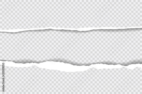 torn paper edges, Background seamless horizontally texture, vector isolated in space for advertising, banner of web page, border and header, print concept of illustration