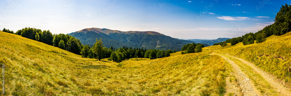Fototapeta premium Panorama of Carpathian mountains in summer. Mountain Apetska in the distance. road through grassy meadow and forested hillsides. wonderful travel destination. location TransCarpathia, Ukraine
