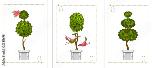 set of topiary cards