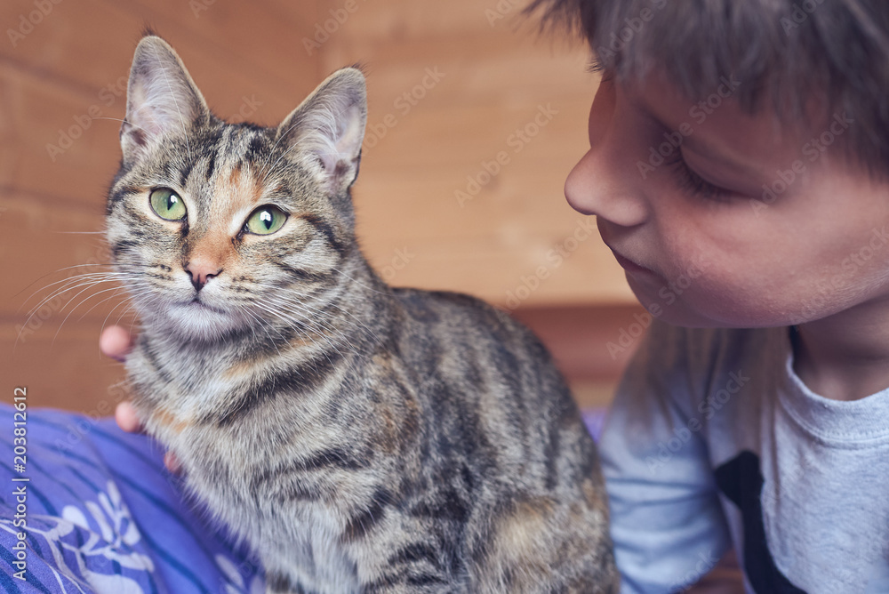 Boy holding and cuddling a cat. Boy holding and cuddling a cat.