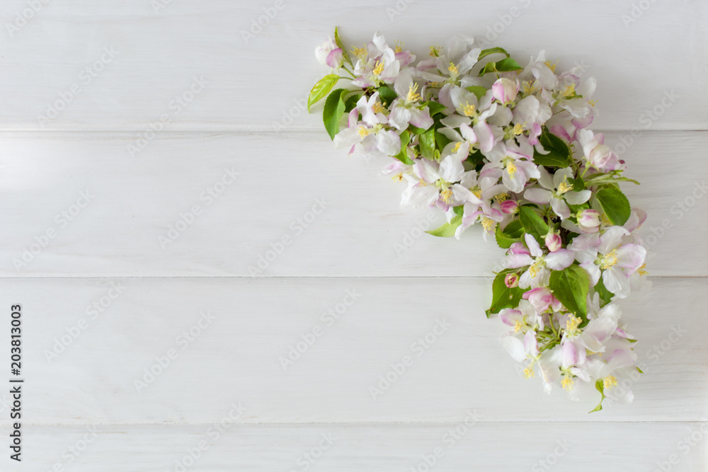 Spring background with apple blossom on white wooden desk. top view Spring background with apple blossom on white wooden desk. top view