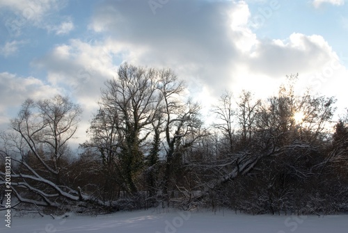  snow, nature, © Plamen