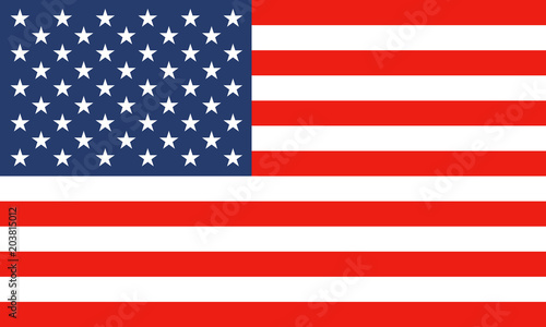 National flag of United States of America. Vector illustration