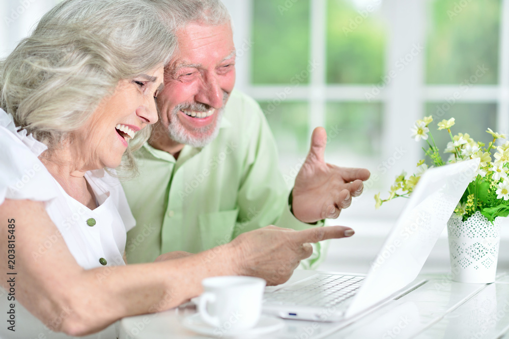 portrait of a happy senior couple using laptop portrait of a happy senior couple using laptop
