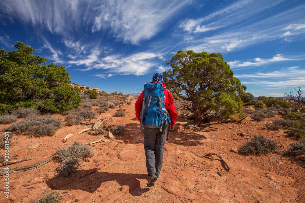 Hiker in Canyonlands National park in Utah, USA Hiker in Canyonlands National park in Utah, USA
