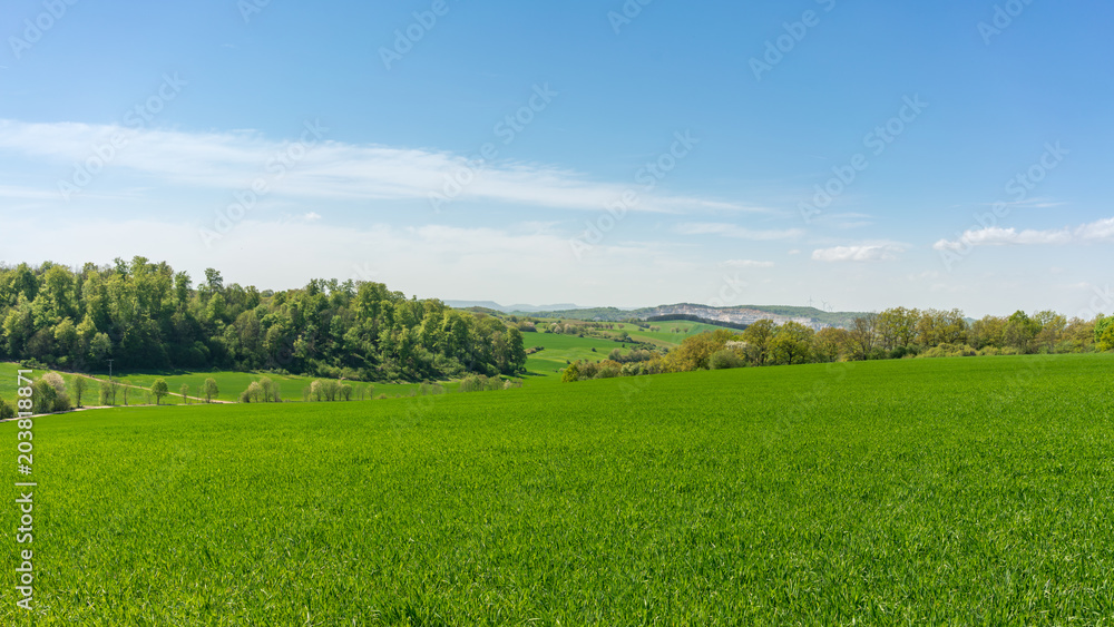 Fototapeta premium Grüne Naturlandschaft im Harz