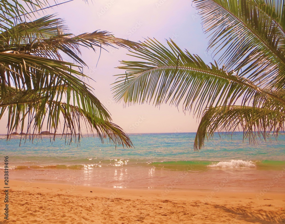 Fototapeta premium sri lanka beach