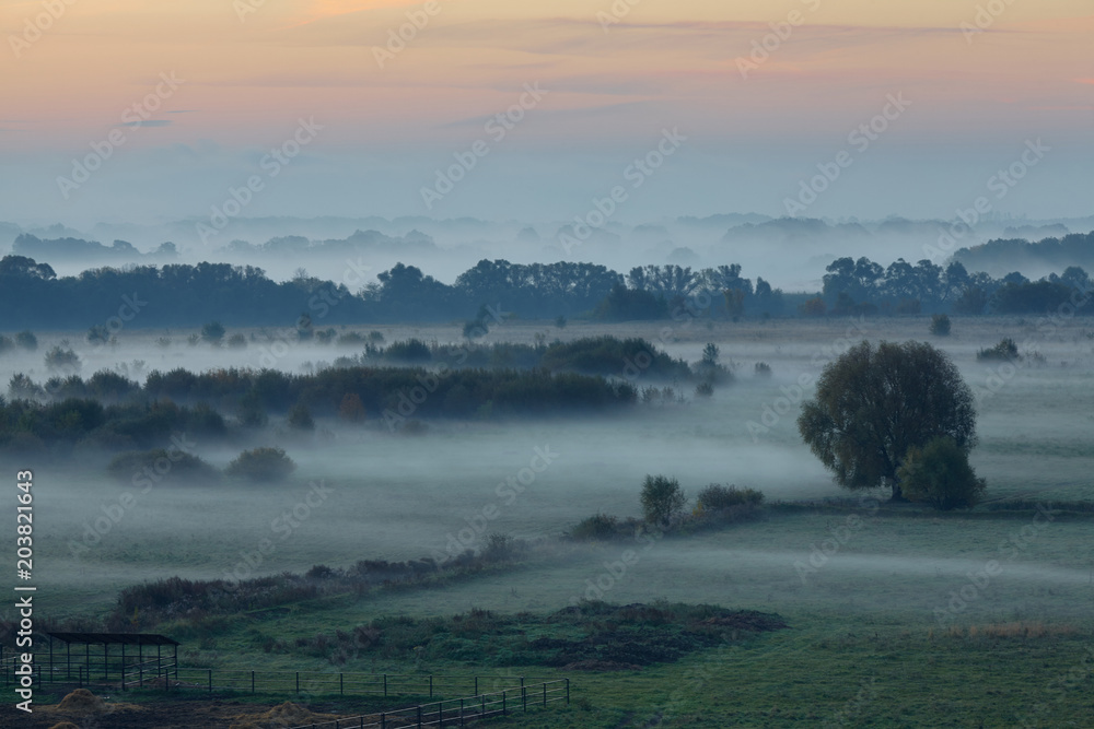 fog before dawn