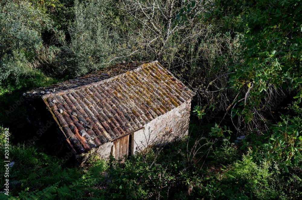 architecture,ruins, architecture,ruins,