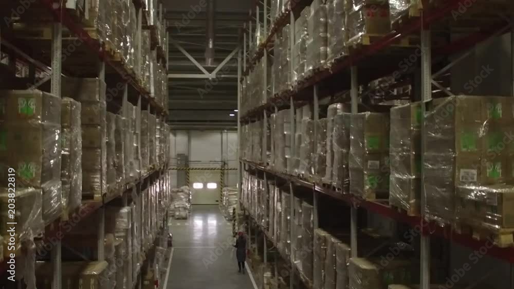 Vidéo Stock Shelves and racks in distribution warehouse interior.Rows