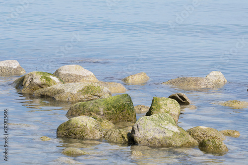 stones in the water photo