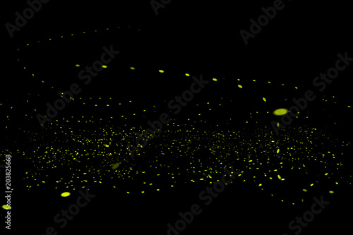 Firefly, lightning bugs on black background photo