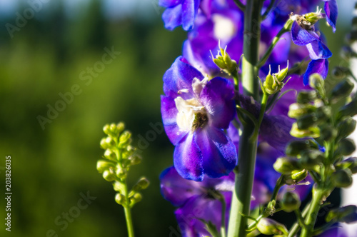 a bouquet of bright spring flowers of various types