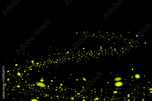 Tableau sur toile Firefly, lightning bugs on black background
