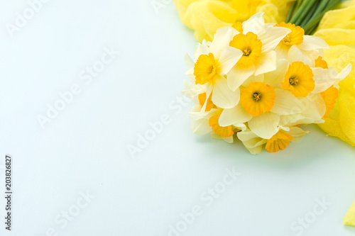 Fototapeta Naklejka Na Ścianę i Meble -  Daffodil bouquet with yellow textile decoration on blue pastel background with copy space.
