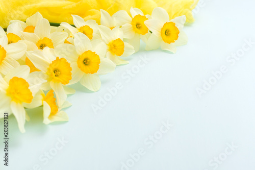 Fototapeta Naklejka Na Ścianę i Meble -  Daffodil spring flowers with yellow textile decoration on blue pastel background with copy space.