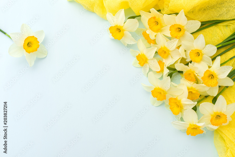 Daffodil spring flowers with yellow textile decoration on blue pastel background with copy space.